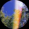 abixa_516